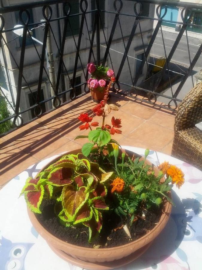 Hotel Villa Tiziana Lido di Venezia Zewnętrze zdjęcie